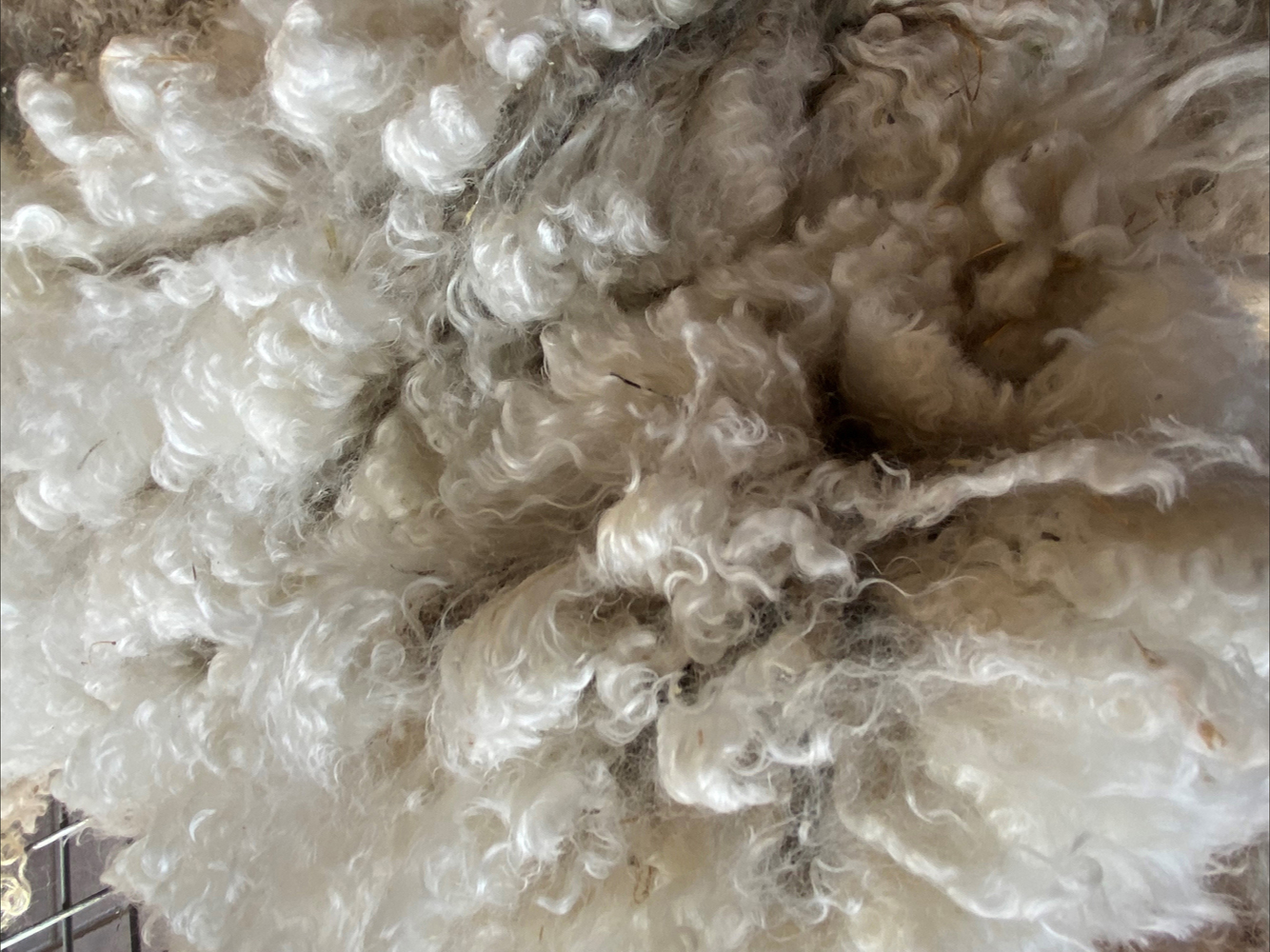 Laine propre de mohair