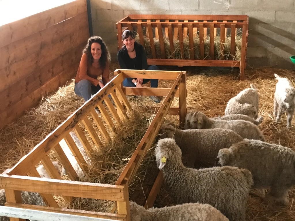 clémence et aurore avec les chèvres angora